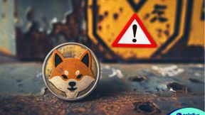 Shiba Inu Team Raises Concerns About Counterfeit Sheboshi Tokens