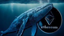 Ethereum Whales Stay Bullish: Persistent ETH Accumulation Defies Recent Downturn