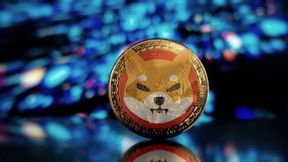 The Shiba Inu bulls face a critical test at the 560 trillion SHIB level